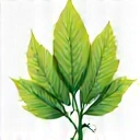 Icono de una hoja estilizada, representando energía natural.
